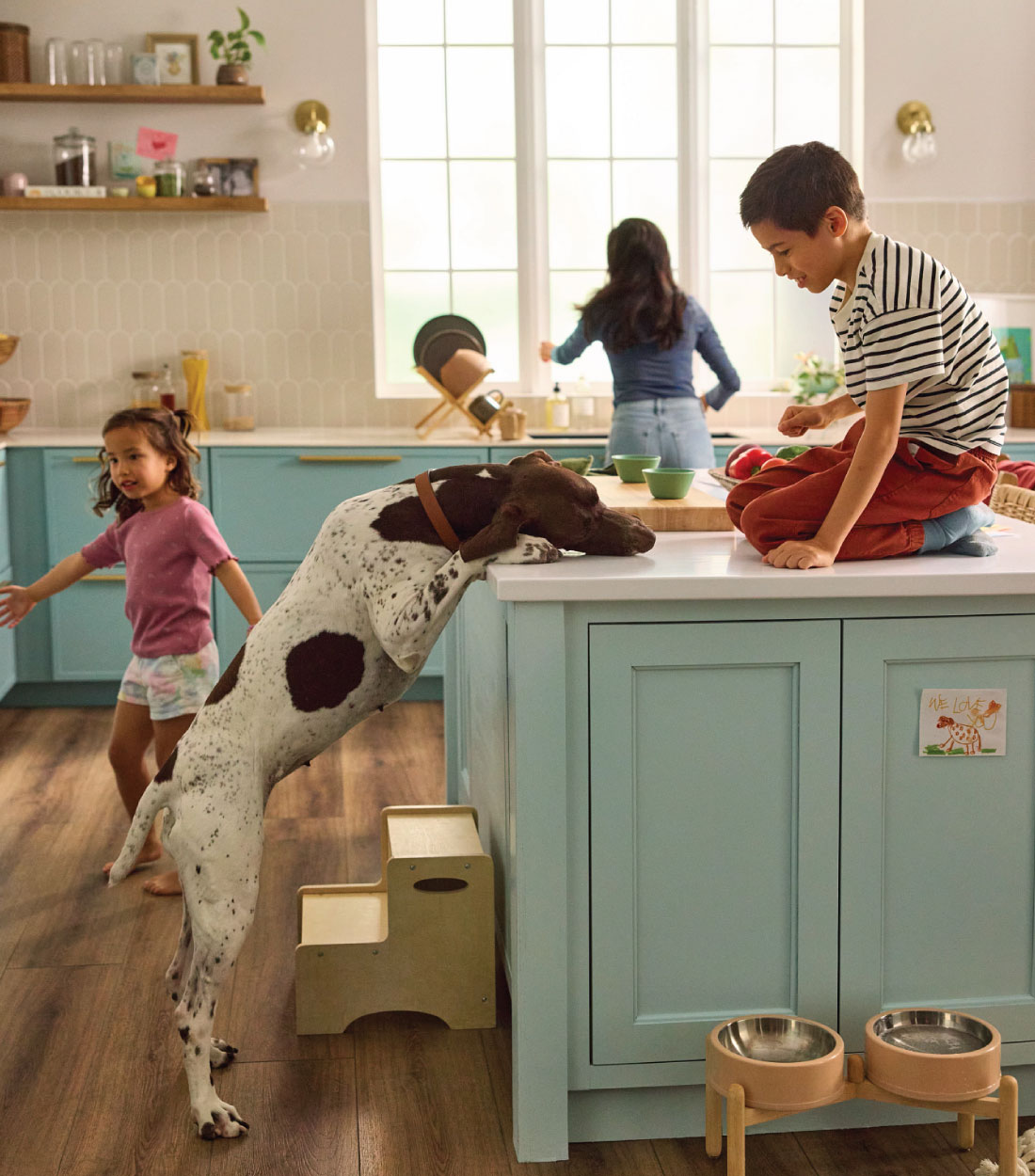 Shaw Rebate 2020 banner